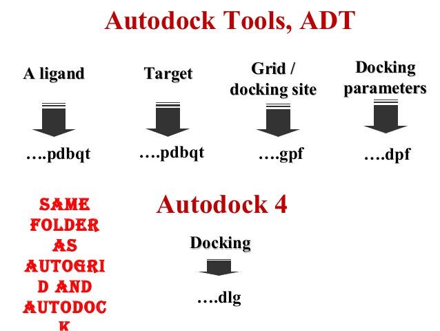 Autodock tools